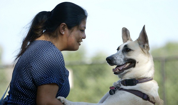 索契是10隻今年3月抵達美國的俄羅斯流浪犬之一，牠已在收養家庭中展開新生活。   取自網路
