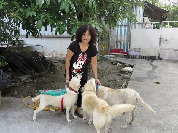李惠文救援收容犬隻，堅持以40隻狗為限，以確保品質。 蕭士塔/攝