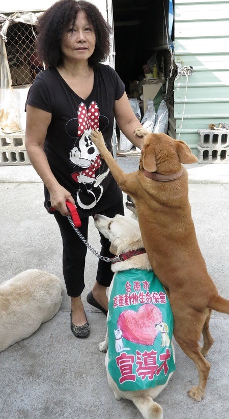 「麥斯」大難不死後，成為協會宣導動保的代言犬。 蕭士塔/攝