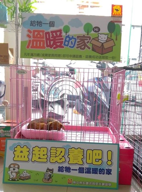 業者積極配合幸福轉運站，主動製作文宣看板。  蕭士塔/攝 