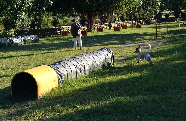 寵物運動公園林蔭密布,衛浴齊全,毛小孩可以得到充分休息。 蕭士塔/攝