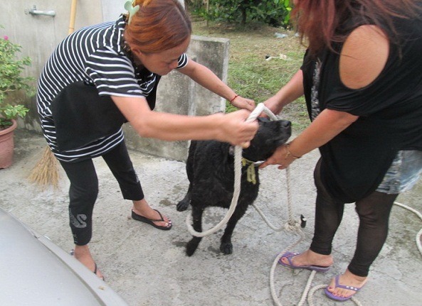 落入深井的狗被救起後,主人欣喜感謝救援人員。 蕭士塔/攝