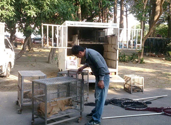 捕捉的流浪狗絕不撲殺,將訓練成工作犬以被認養或由愛心團體繼續收容。 蕭士塔/攝