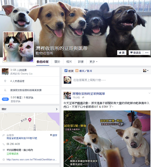 志工臉書粉絲頁「灣裡收容所的豆哥與凱蒂」已協助102頭犬貓找到溫暖的家庭。取自網路