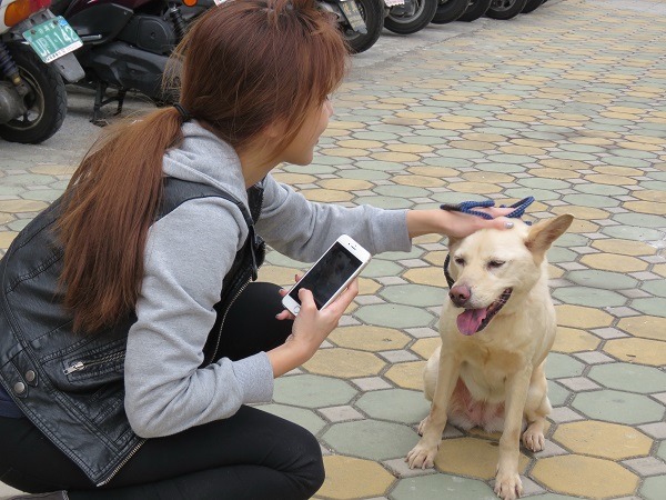 志工拍攝犬貓的認養照，並以溫馨逗趣的擬人手法撰寫推薦文，讓老、病、怪狗也能受到關切。蕭士塔/攝