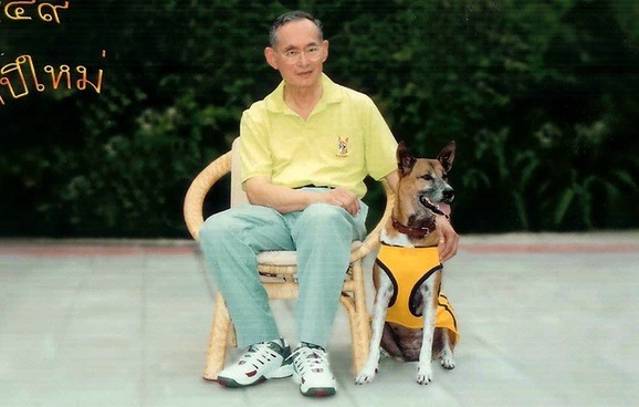 銅丁被泰國官員和媒體尊稱為「夫人(Khun)」。 取自網路