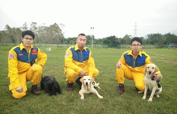 台中市成立搜救犬隊，3隻拉不拉多都選自緝毒犬培訓中心，將以兩年時間取得IRO國際搜救犬評量認證，成為接軌國際的合格搜救犬。 取自台中市政府官網