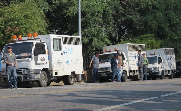 台南市動保處去年在體育場及其周邊執行捕捉案件計117天次、捕捉管制121隻流浪犬。蕭士塔/攝