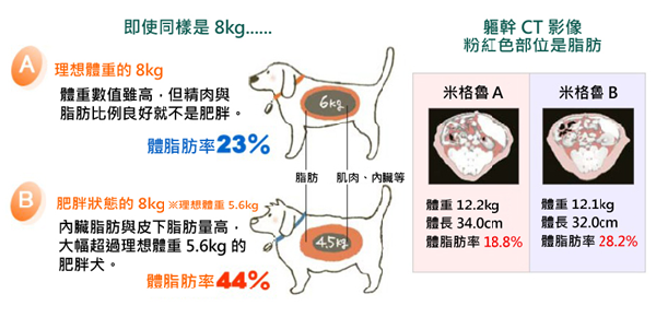 (左圖)肥胖與否應由體脂肪率判斷;(右圖)即便是相同犬種,且體重、體形及年齡類似,體脂肪率仍可能相差甚鉅。 資料來源/ 花王