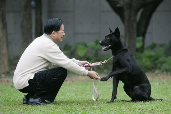 台灣犬能成為第一家庭的寵物，不是沒道理的。   取自網路