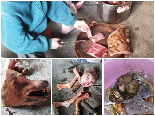 警方及動保單位人員到場，「狗肉添」仍繼續處理屠體，狗頭、狗腿散放一地。  徐滿惠/提供