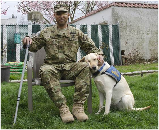 美國退伍軍人詹姆斯.範.西哈奇，因為服務犬利茲的協助，重拾人生樂趣。 取自網路