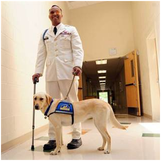 退伍軍人西哈奇說，服務犬利茲幫他找到了人生目的：幫助退伍軍人同袍。 取自網路