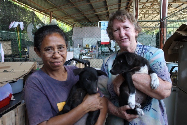 Sylvia（右）在馬來西亞投入畢生心力教育非法移民兒童，對流浪動物同樣心存憐憫，家中已有20多隻狗兒的她，日前撿到4隻小狗送到SPCA KK收容所，但其中2隻遲遲未被領養，她又前來收容所將牠們領養回家。　李娉婷/攝