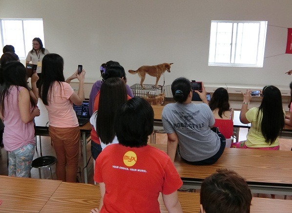 菲律賓籍外勞紛紛拿出手機拍攝「有錢家族六小福」。 蕭士塔/攝