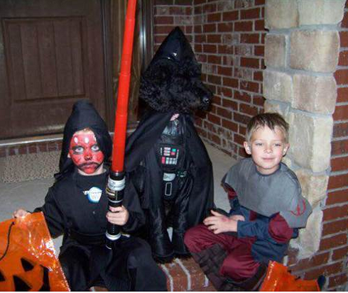 願權力與他們同在；星際大戰的人物也可以這樣吔。