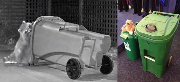 翻找垃圾桶裡的食物，又翻倒垃圾桶，讓浣熊成了多倫多市的頭號市容破壞者，市政府只能搬出又高又大和加了鎖扣的垃圾桶來對付牠們。 取自網路