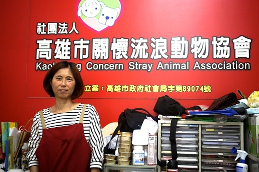 16年前，一群愛心媽媽成立了高雄市關懷流浪動物協會。 丁志綱/攝
