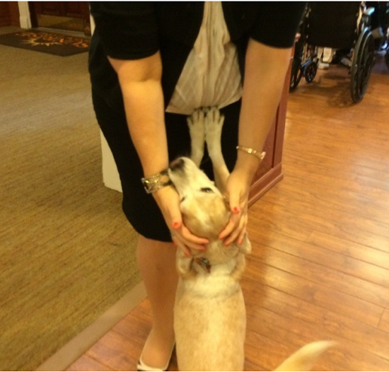 巴格西與收養牠的貝絲•揚森,她也是老人之家的執行董事。 取自網路