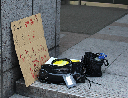 讓家犬貓絕育、不棄養，才是實現零安樂死的途徑。 何宜/攝