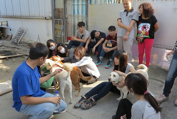 選修「全球化與動物福利政策」通識課程可不簡單,除了室內課程,還得走進民間收容所實作,體會愛媽餵養和清掃的辛苦。 蕭士塔/攝