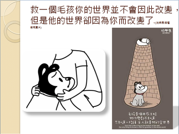 圖文作家狗與鹿的這段文句，已成為救援志工的座右銘。林靚/提供