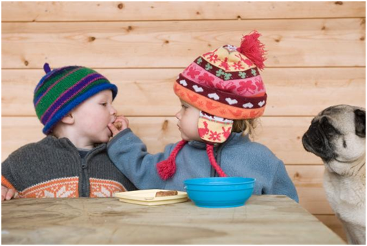 狗很細心的看著主人與其他人互動。　翻攝自國家地理雜誌 