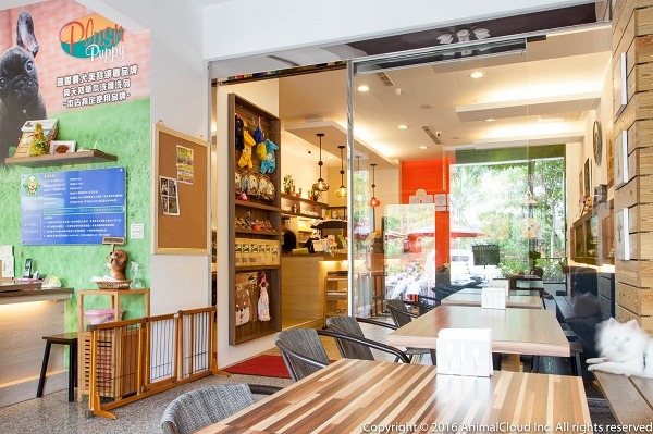 室內用餐區有前後之分，前段區域可以任狗狗落地走動。