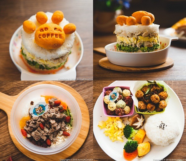 寵物專用餐點是不是讓你流口水? 上左、上右:地瓜上的雕刻字樣還可客製化。下左: 繽紛的色彩，呈現所用食材的多樣化。下右:主人與狗狗都能一起享用的人寵餐，別具特色。
