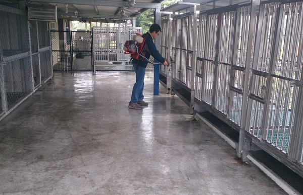 用漂白粉做消毒劑的正確使用方法，是依照比例稀釋和噴灑，而且要先移走犬隻清空籠舍，再進行。  作者/提供