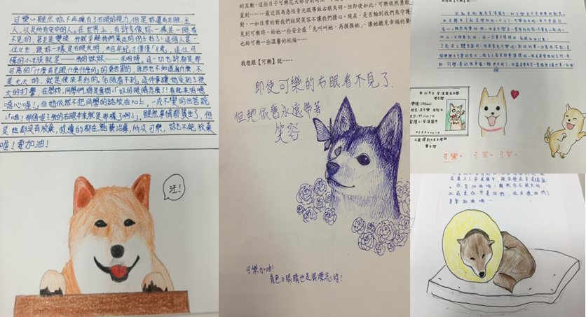 可樂經歷了右眼摘除手術，也讓學生上了一堂生命教育課程，他們手繪、寫文來替可樂祝禱。安溪國中/提供