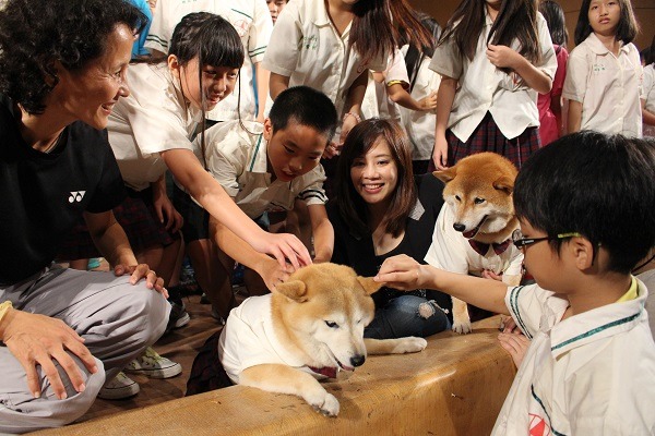 媒體人秦綾謙不僅讓安溪國中的校犬曝光，還讓「可樂」有了新同學「Yumi」----她的愛犬。 江幸芸/攝
