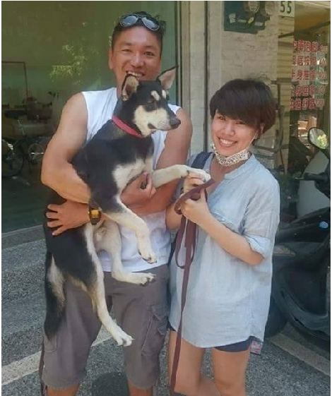 潘爸爸領養了小狼，連女友都常從澎湖到台灣與小狼相處，培養感情。潘爸爸/提供