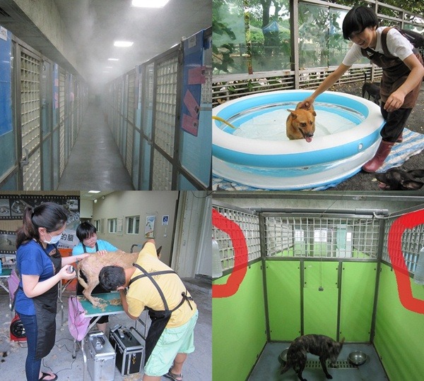 去年為了替犬隻消暑，台北市動物之家推出噴霧（左上）、游泳池（右上）、吊冰塊（右下）和剪毛（左下）等５項降溫措施，今年乾脆加裝兩大台水冷式冷氣機，讓收容的犬隻都可以吹冷氣、爽一夏。　台北市動保處資料照