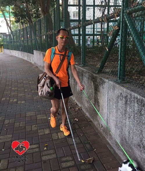 看見梁小偉手中拉的是牽繩而不是導盲鞍，就知道為他引路的不是正規導盲犬。取自香港動物報