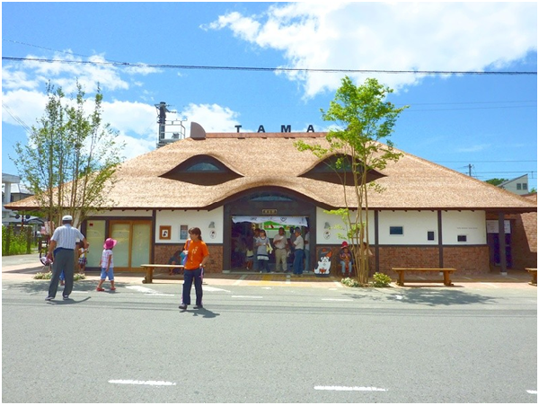 ★ 2010年貴志車站重新改裝，特地在扁柏皮屋頂加上貓耳和小玉的英文TAMA。 取自日本維基
