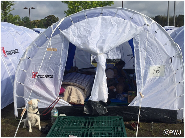 長5.5公尺，寬3公尺，高2.1公尺的帳篷內部空間約5坪，足以容納6人家庭。 取自PWJ