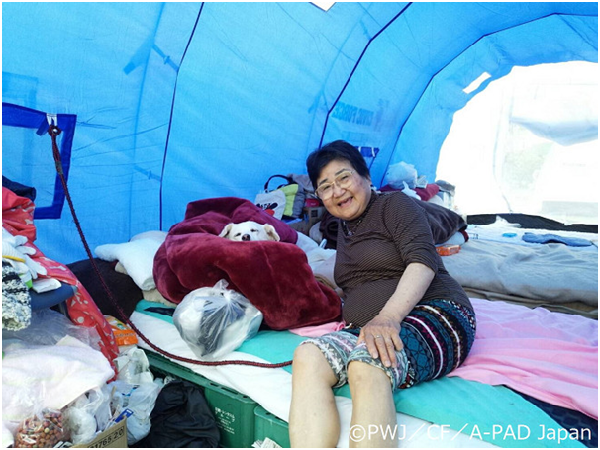 吉村奶奶和哈利一起在寵物專用帳篷休息。 取自PWJ