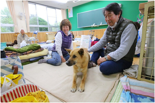 在廢棄的國中教室跟愛犬可樂一起避難的三浦爺爺與和子奶奶。 取自每日新聞
