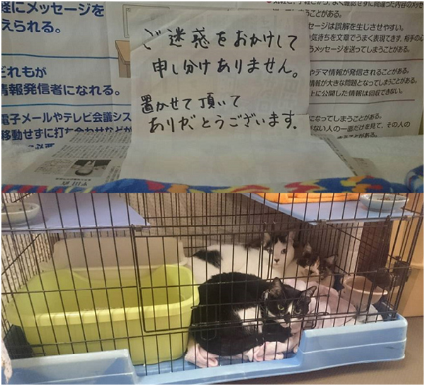 上圖是飼主寫紙條感謝其他災民讓他安置貓咪。雖然熊本市禁止寵物室內避難，但在各避難所管理者及災民的協助下，部分寵物仍有機會待在室內。 取自HUG臉書