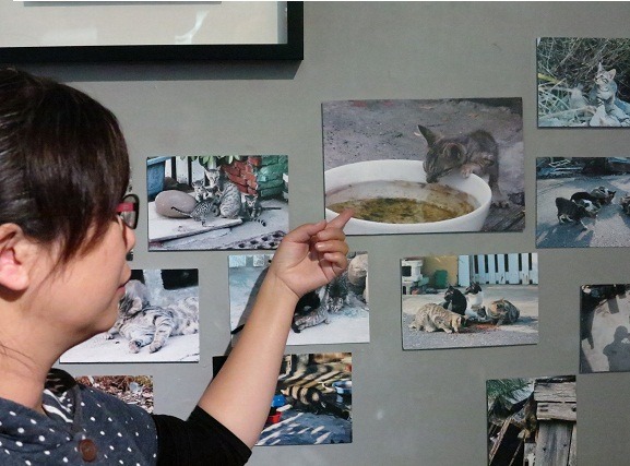 這隻生病幼貓喝水的鏡頭最讓謝小伶難忘。   蕭士塔/攝