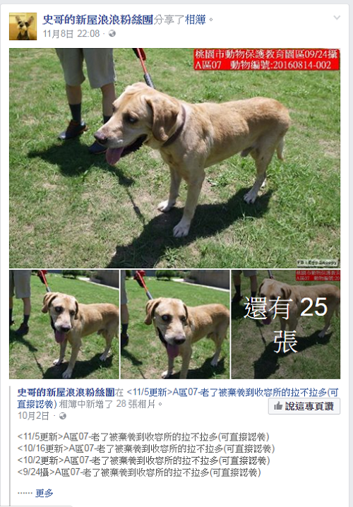 新屋收容所擁有一批傾力投入的志工,圖為志工設立的送養專頁。但是,被飼主嫌老嫌病的狗也不斷被丟進收容所。 截圖自「史哥的新屋浪浪粉絲團」