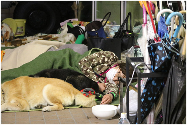 熊本縣益城町保健福祉中心禁止寵物入內,照片是4月16日深夜,飼主與狗兒在走廊避難的景象。 取自每日新聞