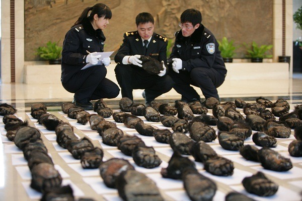 中國饕客好食山珍野味，讓各種野生動物的獵殺案難以中止。  取自網路