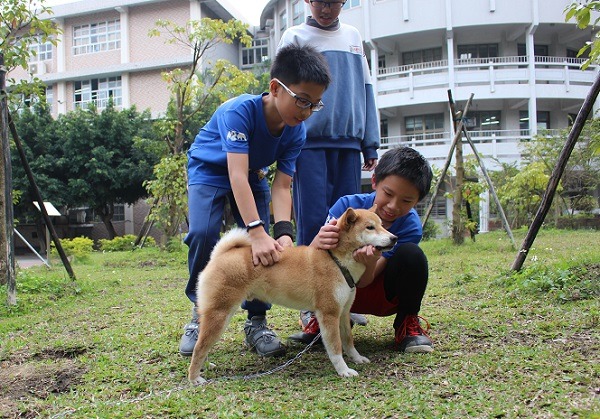 單純只是養校犬，陳民峰認為對生命教育的助益不大。  黃靖雅/攝