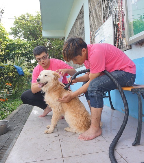 學生志工協助照護老年犬。蕭士塔/攝