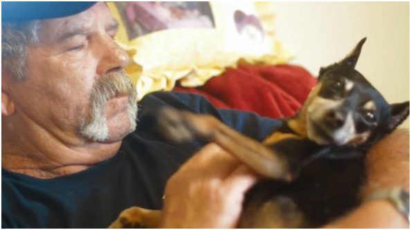 在柯蒂斯•楊眼中,薩布麗娜是神奇狗,是救他命的超級英雄。 取自與狗生活