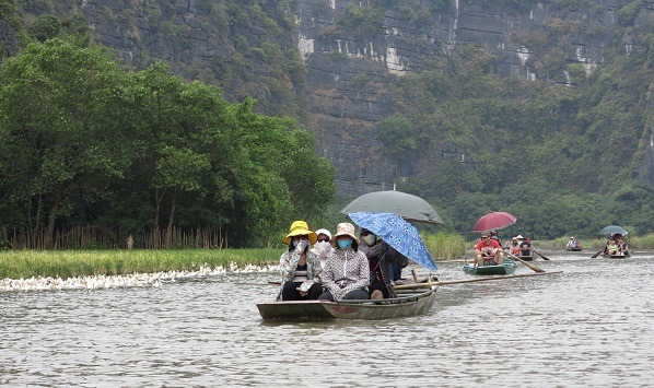 北越著名景點陸龍灣河道的淺灘，也可看到農民耕田種稻。　蕭士塔/攝