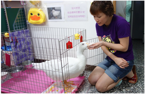 芽芽的閨房掛滿了玩具與媽媽幫牠求的護身符。  李娉婷/攝
