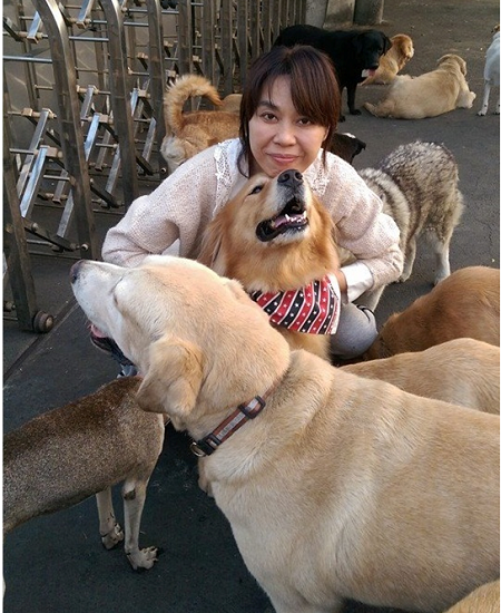 夫家在高雄市大寮區經營木材行，偌大廠房也因顏杏娟的愛成了流浪狗的天堂。    顏杏娟/提供
